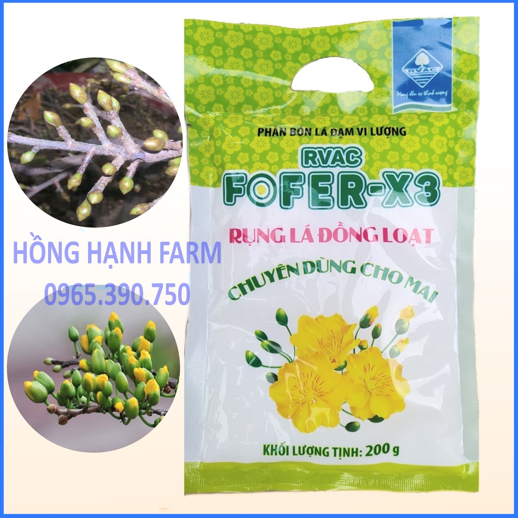 Xử lý rụng lá mai FOFER-X3 , Phân bón rụng lá đồng loạt chuyên cho mai vàng FOFER-X3