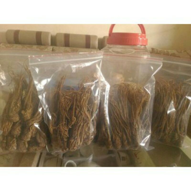 1kg sâm đương quy ( sâm quy)