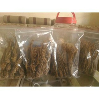 1kg sâm đương quy ( sâm quy)
