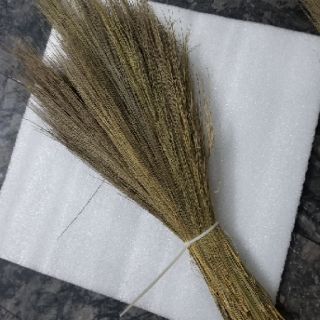 Ve màu quét tường ATM