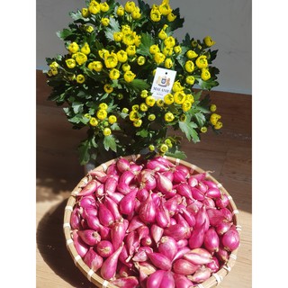 Hành Tím Lý Sơn Mai Anh-1Kg