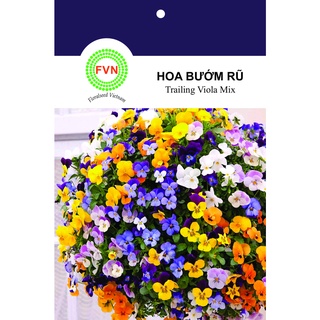 HẠT GIỐNG HOA CÁNH BƯỚM VIOLA RŨ NHIỀU MÀU FVN GÓI 15 HẠT - VIOLA TRAILING MIX