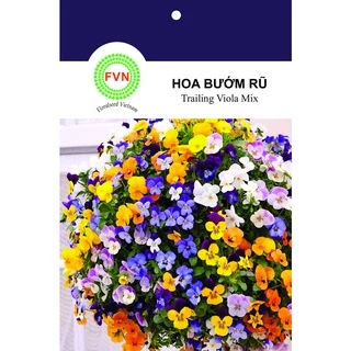 HẠT GIỐNG HOA CÁNH BƯỚM VIOLA RŨ NHIỀU MÀU FVN GÓI 15 HẠT - VIOLA TRAILING MIX