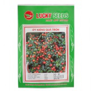 Hạt Ớt Kiểng Quả Tròn - Lucky