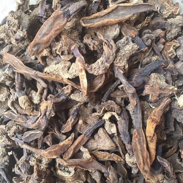 Nấm ngọc cẩu khô