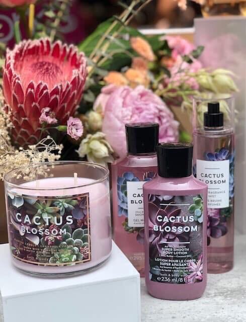 Lotion dưỡng da hoa xương rồng Cactus Blossom | BigBuy360 - bigbuy360.vn