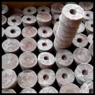 COMBO 50 viên nén sơ dừa ươm hạt