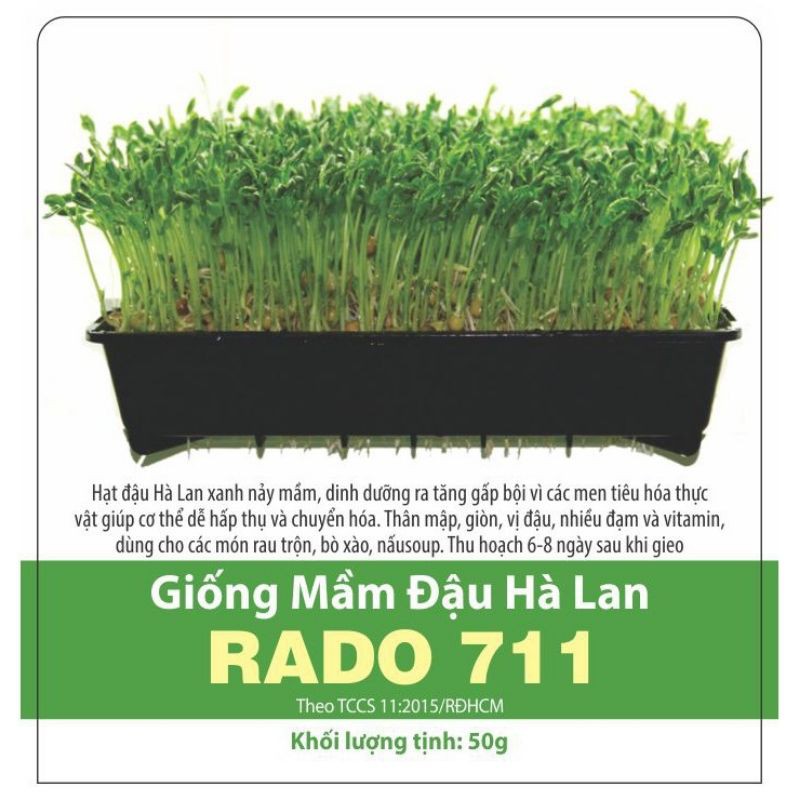 (Trồng ăn liền) Hạt giống Mầm Đậu Hà Lan dành cho gia đình