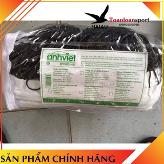 Lưới bóng chuyền da Anh Việt