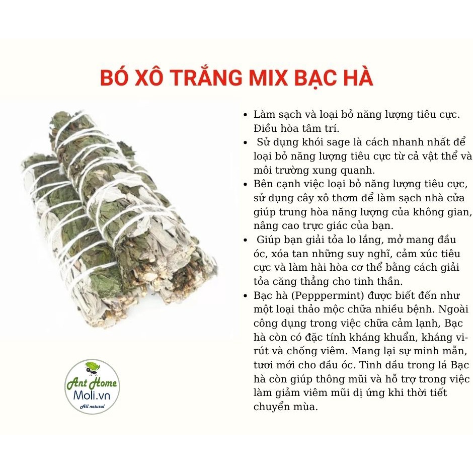 Xô trắng bạc hà cho tâm hồn tươi mới