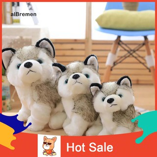 Chó Husky nhồi bông đáng yêu cho bé