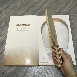 CỐT VỢT BÓNG BÀN SANWEI TERRA