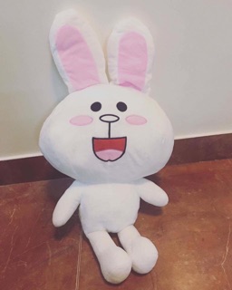 Gấu ôm BROWN ❤️ CONY