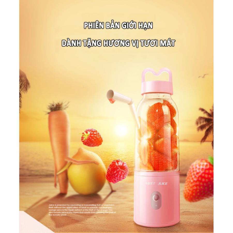 Máy xay sinh tố cầm tay Meet Juice