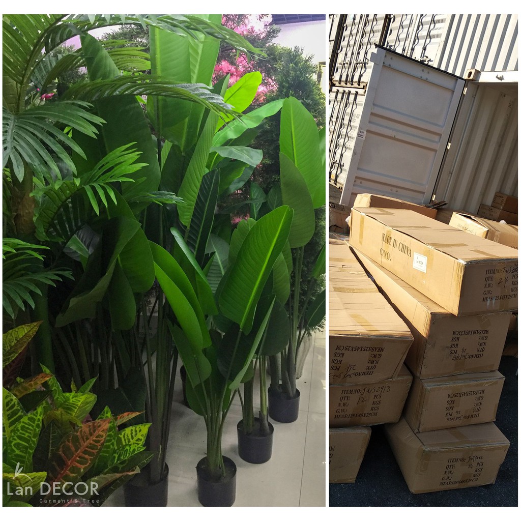 Cây giả - Cây lá sọc dưa hấu  để bàn, trang trí nhà LanDecor - LC045