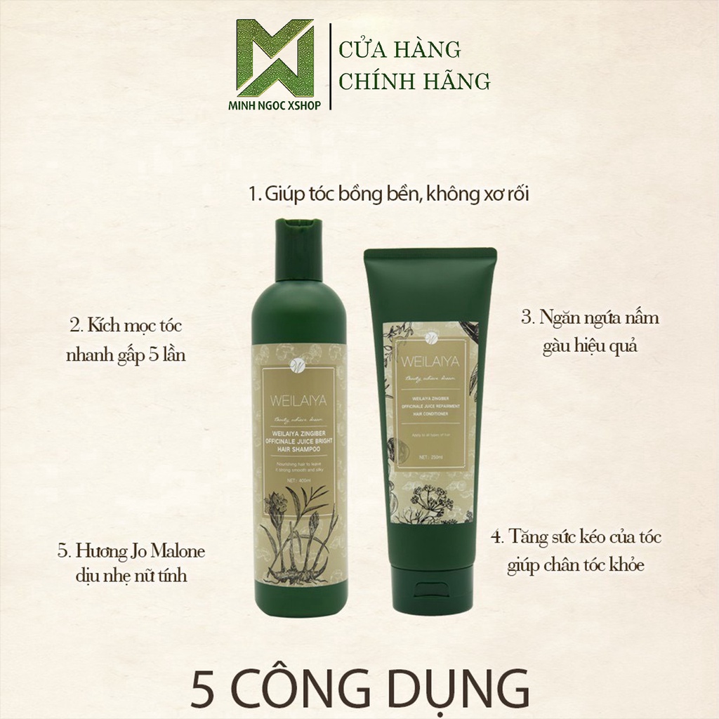 Dầu xả gừng hà thủ ô WEILAIYA Zingiber Officinale Juice Repairment Hair Conditioner chống rụng kích mọc tóc 250ml