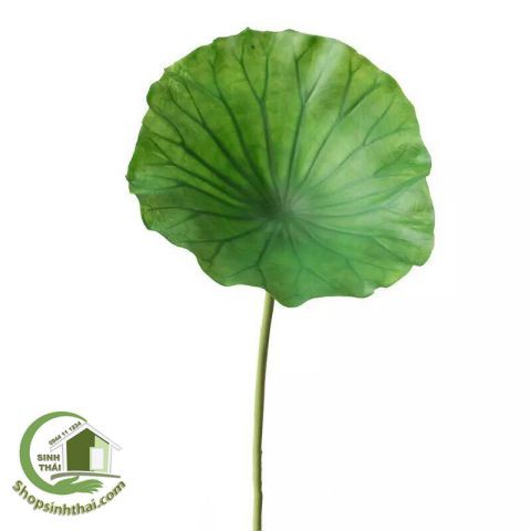 Lá sen giả - cành lá sen cao cấp - 1 lá