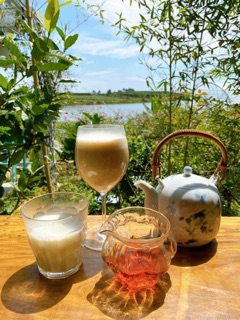 Mật Ong Hoa Cà Phê 100ml