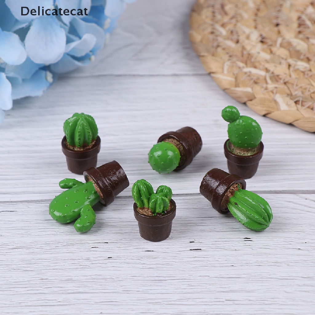 Bộ 5 mô hình cây xương rồng mini bằng nhựa thiết kế chân thực