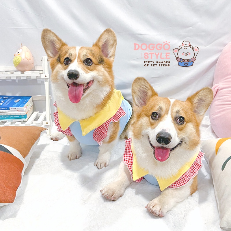 Áo Thun Ba Lỗ DoggoStyle Vải Cotton Ấm Mùa Thu Đông Cho Chó Lớn Size Bự Corgi Bull Pháp Pug Mặt Xệ Lạp Xưởng