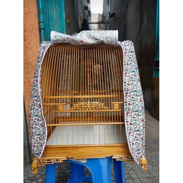 áo trùm lồng thái