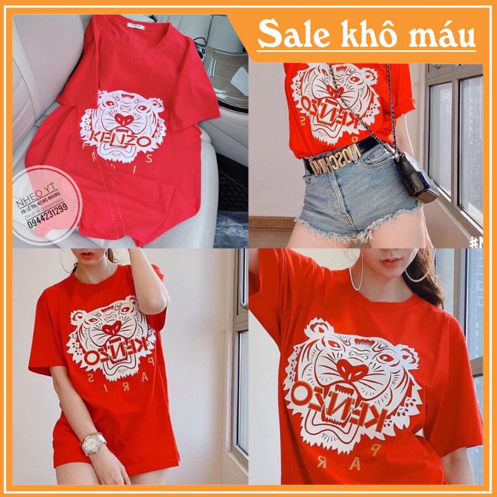 [MUA 2 TẶNG 1] ❤️ Áo Thun Tay Ngắn ❤️ Áo Thun Nữ HT001 ❤️ Cotton In Hình Nhiều Mẫu ❤️ Hot Trend ❤️ | BigBuy360 - bigbuy360.vn