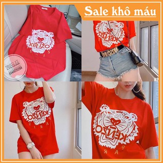 ❤️ Áo Thun Tay Ngắn ❤️ Áo Thun Nữ HT001 ❤️ Cotton In Hình Nhiều Mẫu ❤️ Hot Trend ❤️
