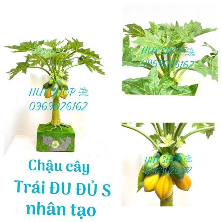 Chậu cây Trái ĐU ĐỦ Nhí Vuông để bàn  nhân tạo trang trí nhà cửa