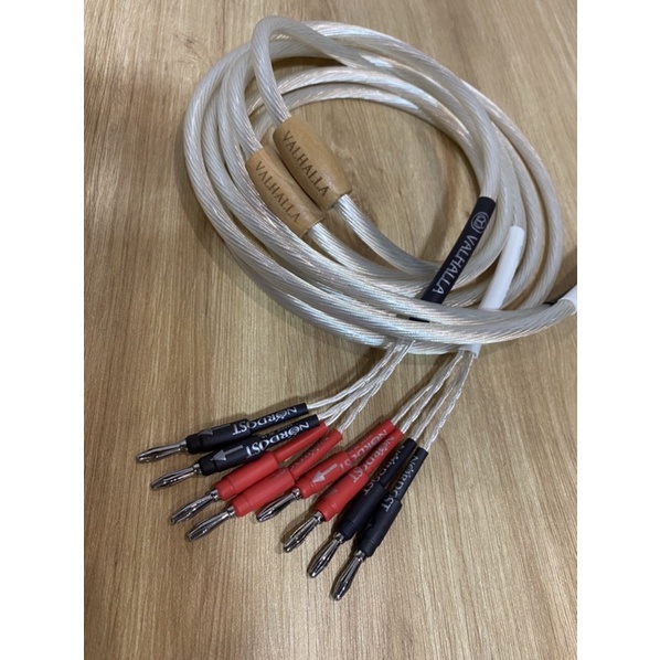 Dây loa bi-wire