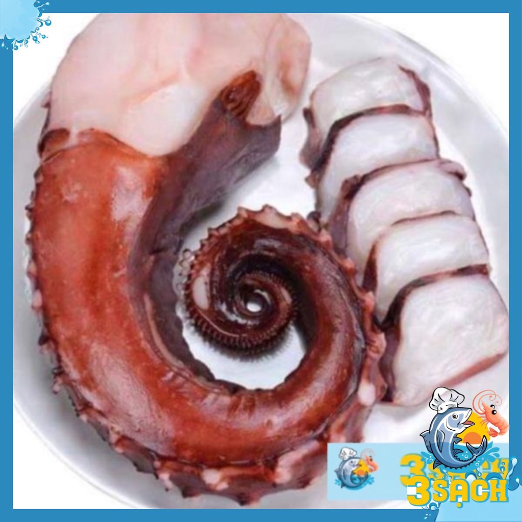 1KG Râu Bạch Tuộc Khổng Lồ Thực Phẩm 3 Sạch