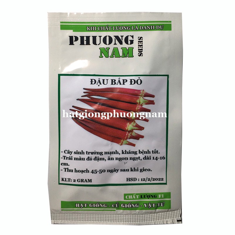 2GR - HẠT GIỐNG ĐẬU BẮP ĐỎ