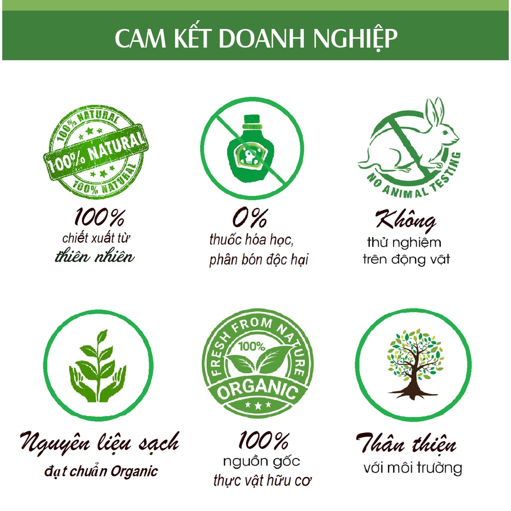 Mua Tinh D u Hoa H ng Nguy n Ch t Organic T Thi n Nhi n KingOil Gi 