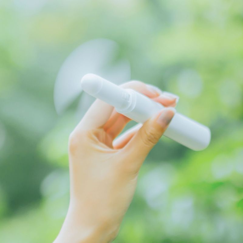 Quạt Mini CầM Tay HìNh Cây BúT