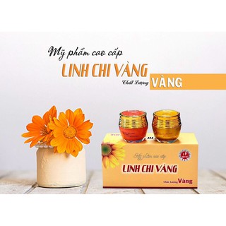 SET KEM NÁM NGÀY VÀ ĐÊM LINH CHI VÀNG