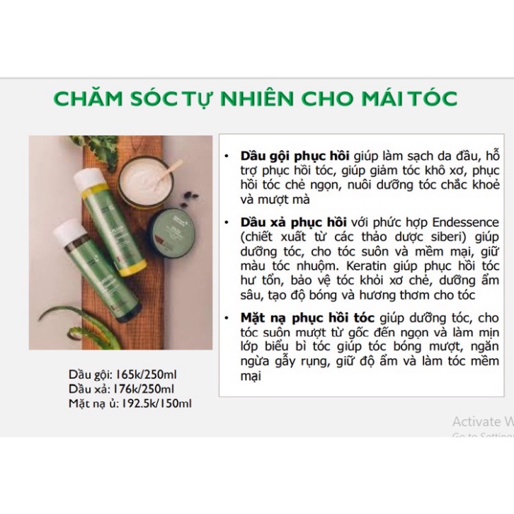 Dầu gội bình phục tóc SIBERIAN WELLNESS Reviving Shampoo