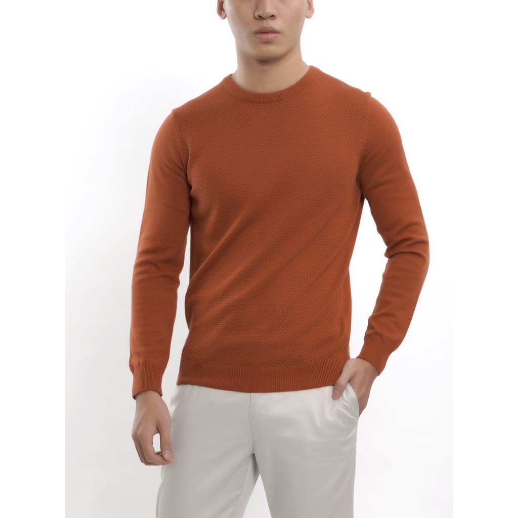 Áo len aristino màu nâu slim fit AWO029W7
