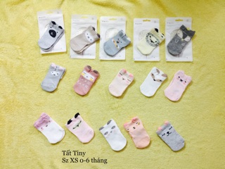 Tất TiNy set 5 đôi
