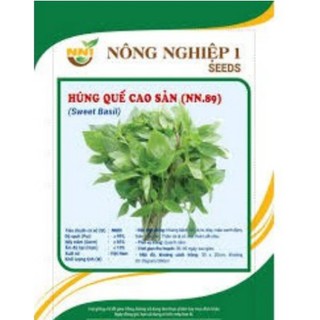 HẠT GIỐNG HÚNG QUẾ CAO SẢN