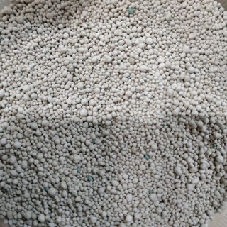 Cát sand lớn