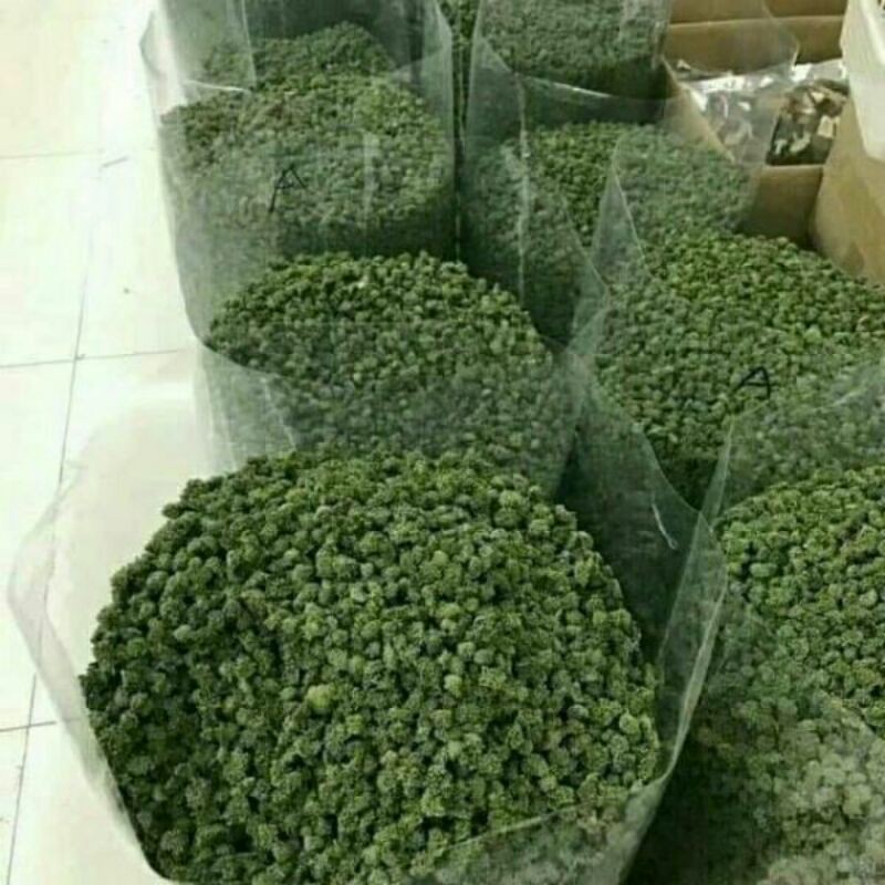 Sỉ lẻ nụ hoa tam thất 500g - 1kg
