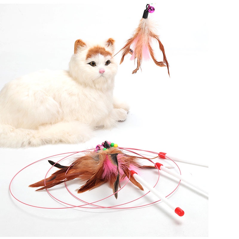 [Mã PET50K giảm Giảm 10% - Tối đa 50K đơn từ 250K] Cần câu mèo dây thép đồ chơi cho mèo PetTools