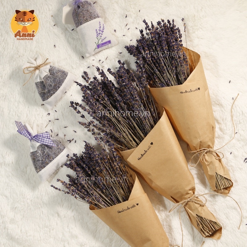 Hộp hoa Lavender Pháp