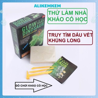 Đồ Chơi Khảo Cổ CHỌN MẪU] Trò Chơi Hóa Thân Thành Nhà Khảo Cổ Học Thú Vị