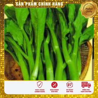 Hạt Giống Cải Làn Mập