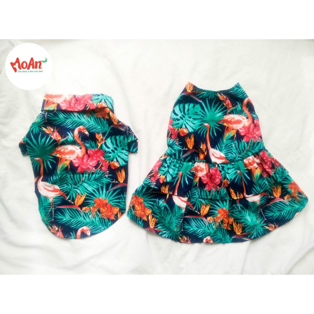 Áo các loại theo khách chọn