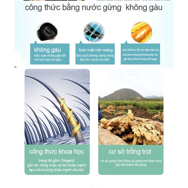 Dầu gội ngăn ngừa rụng tóc nam nữ dầu gội mọc tóc 500ml chống rụng tóc tăng độ dày cho tóc loai bỏ gàu giải quyết vấn đề