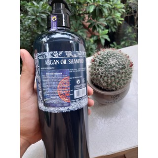 Lẻ GỘI HOẶC XẢ HISCHER 1000ML[Drop5]