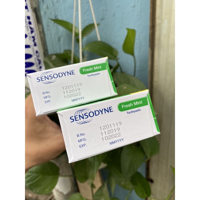 Kem Đánh Răng SENSODYNE Fresh Mint 100g ( hộp 2 tuýt )