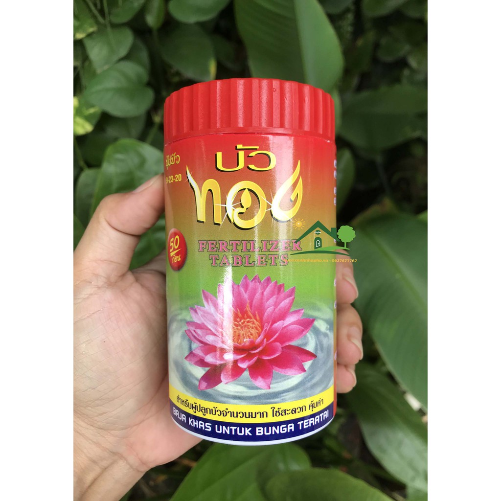 Phân viên nén hữu cơ Bua Thong Thailand chuyên bón cây sen, súng và các loại thủy sinh khác vỉ 12 viên, lọ 50 viên