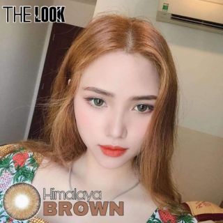 CONTACT LENS MÀU BROWN - NÂU RÊU - GIÃN NHẸ - CÓ ĐỘ